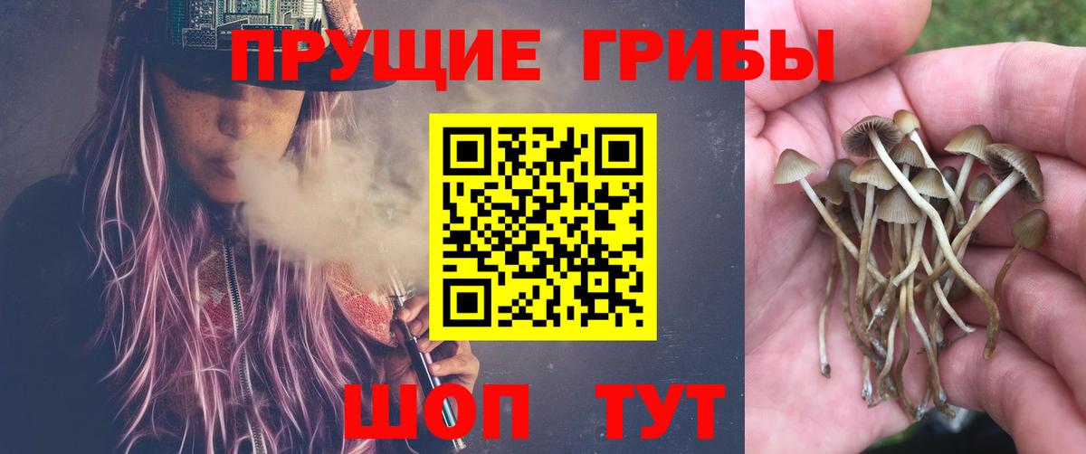 Псилоцибиновые грибы ЛСД Саянск