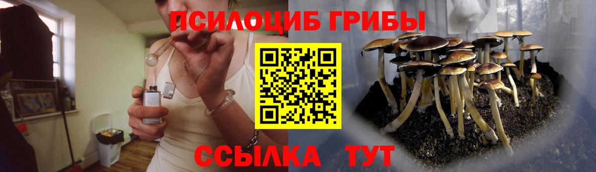 Саянск  Галлюциногенные грибы мухоморы  Вход с VPN 