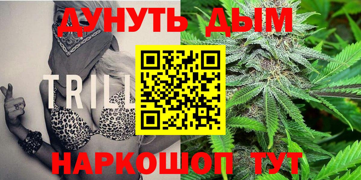 Каннабис сатива Саянск